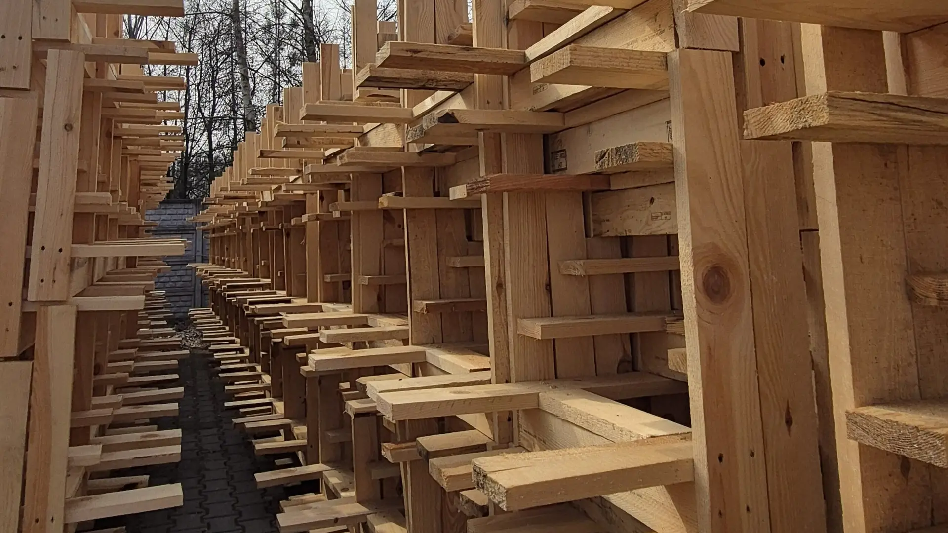 Wąska ścieżka wyłożona zbitkami drewnianymi, prowadząca w kierunku horyzontu drzew pod czystym, błękitnym niebem.